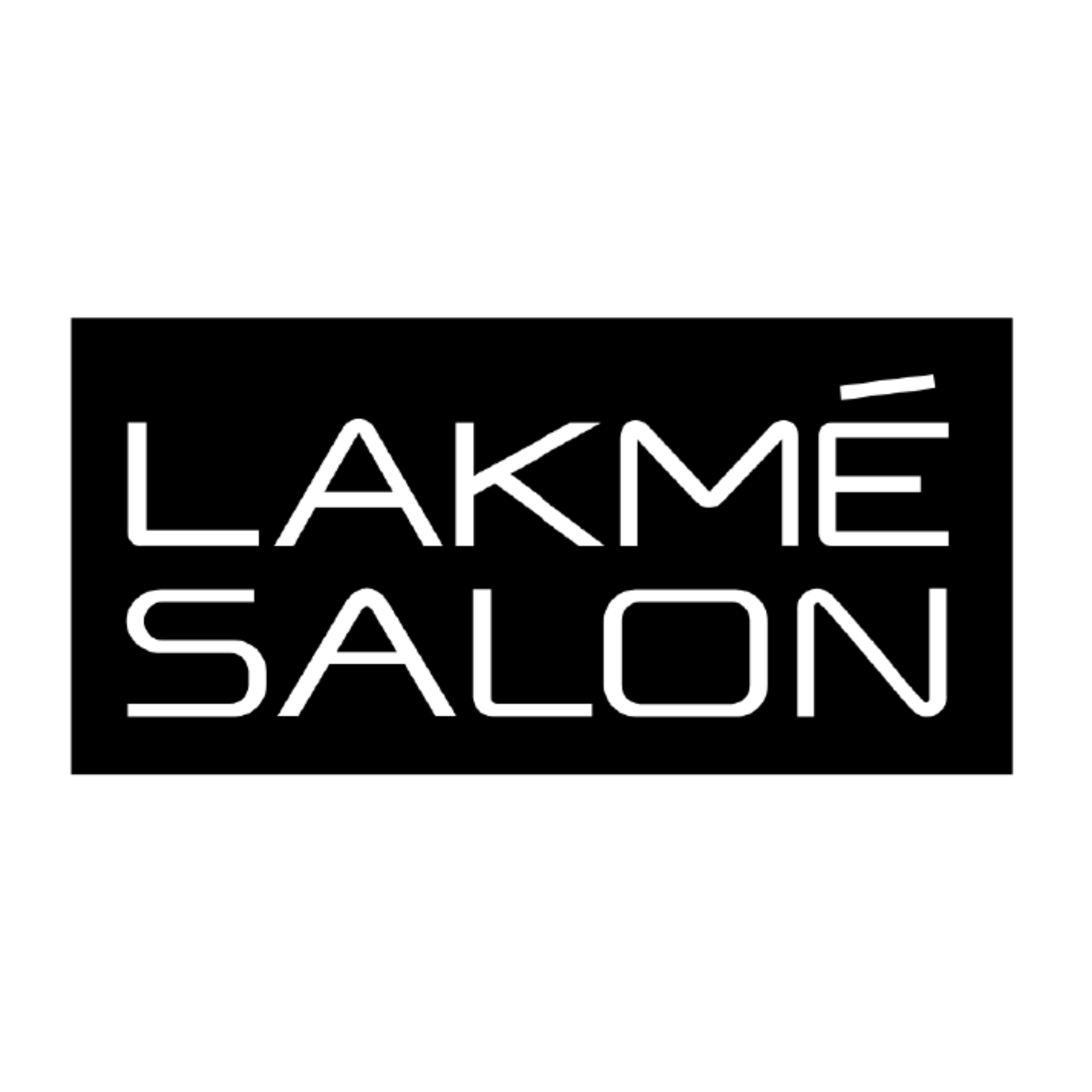 The Lakme Salon