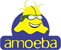 Amoeba