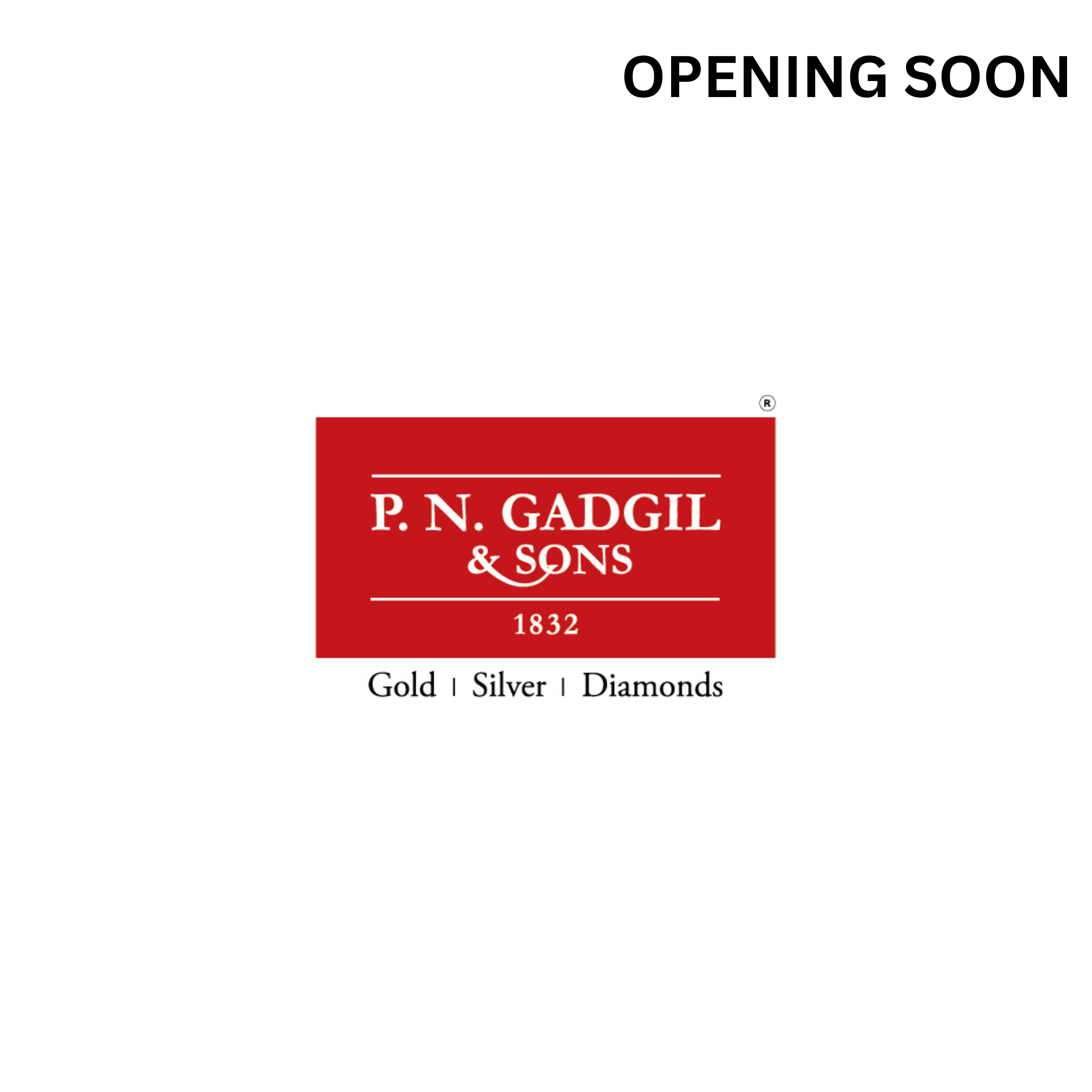 P N G Jewellers