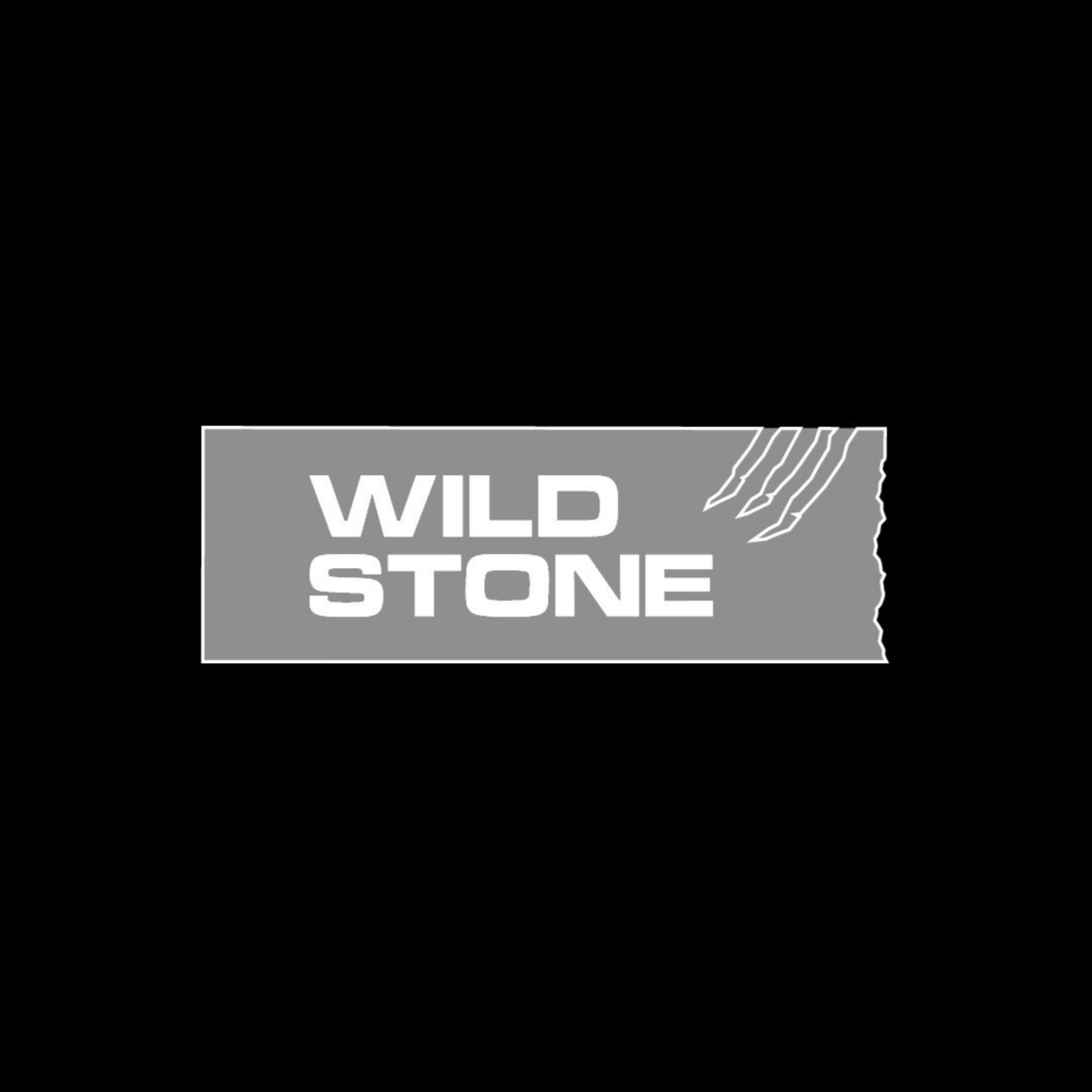 Wild Stone at Amanora Mall Pune
