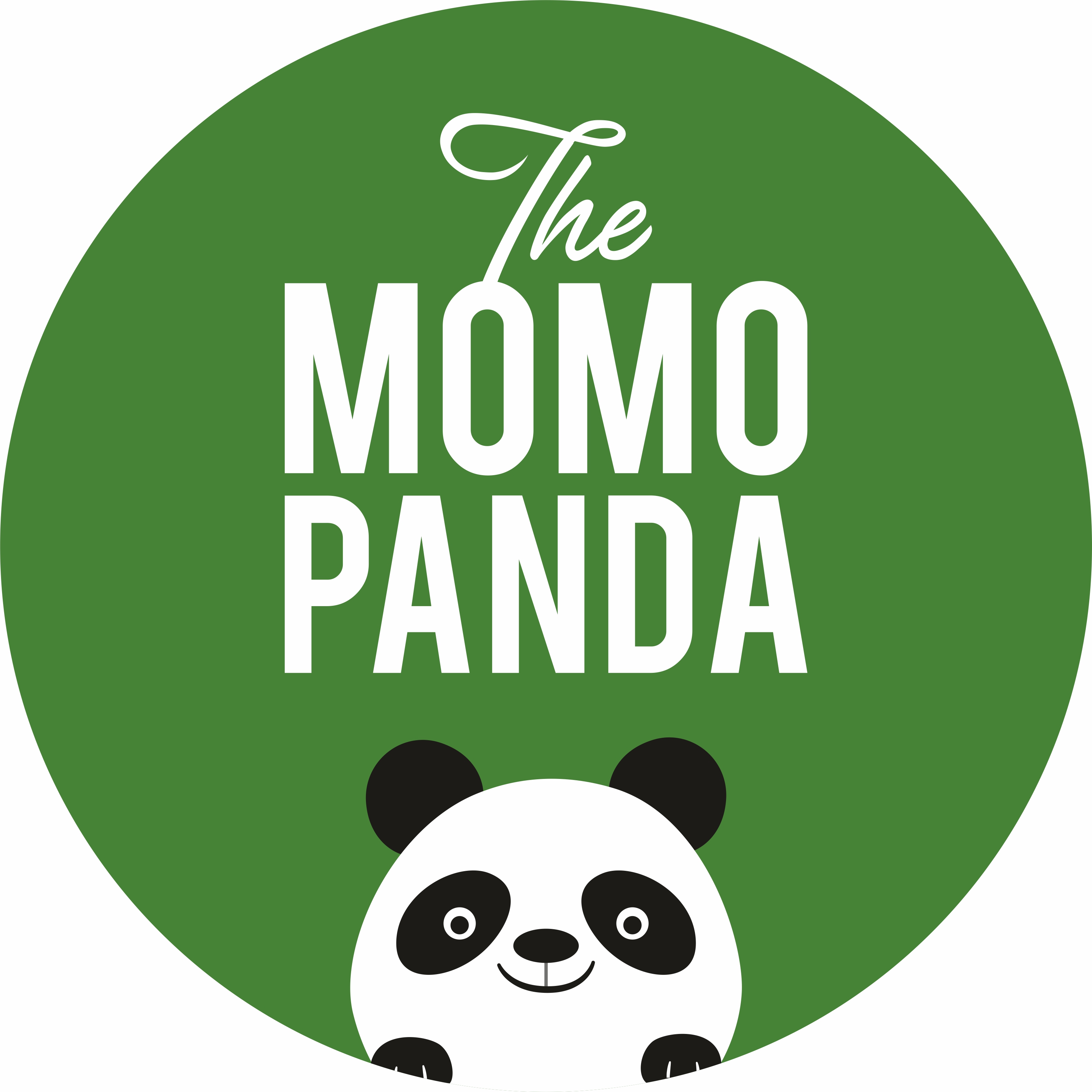 The Momo Panda